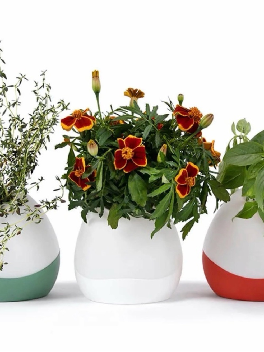 Gardyn Vase (x2) in White